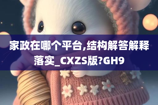 家政在哪个平台,结构解答解释落实_CXZS版?GH9