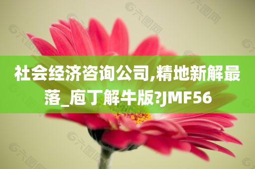 社会经济咨询公司,精地新解最落_庖丁解牛版?JMF56