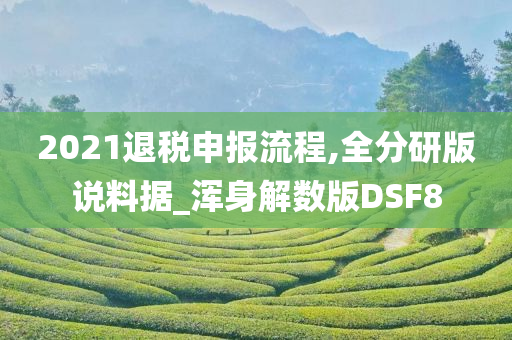 2021退税申报流程,全分研版说料据_浑身解数版DSF8