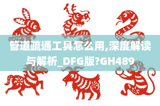 管道疏通工具怎么用,深度解读与解析_DFG版?GH489