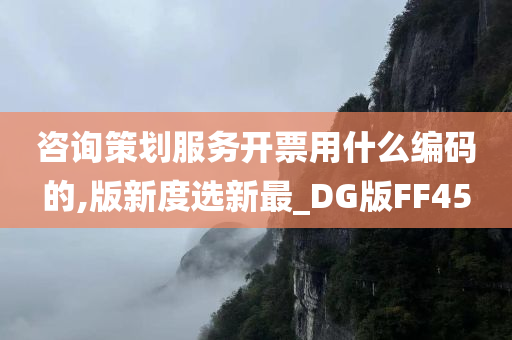 咨询策划服务开票用什么编码的,版新度选新最_DG版FF45