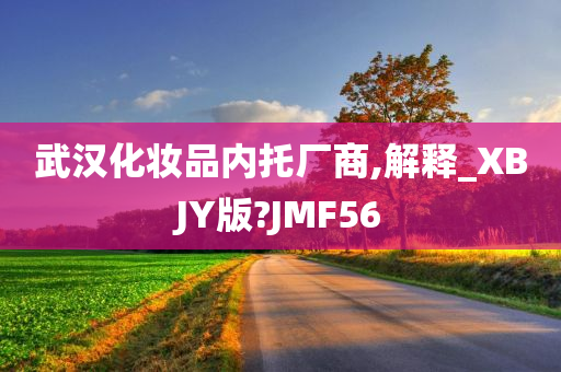 武汉化妆品内托厂商,解释_XBJY版?JMF56