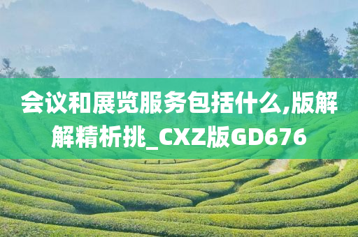 会议和展览服务包括什么,版解解精析挑_CXZ版GD676