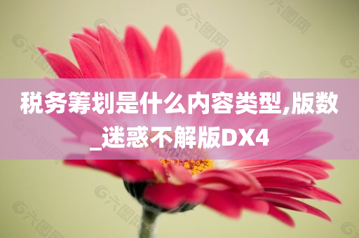 税务筹划是什么内容类型,版数_迷惑不解版DX4