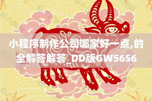 小程序制作公司哪家好一点,的全解答解答_DD版GW5656