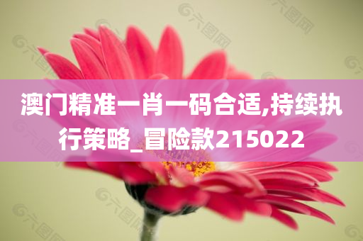 澳门精准一肖一码合适,持续执行策略_冒险款215022