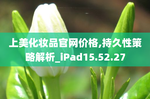 上美化妆品官网价格,持久性策略解析_iPad15.52.27