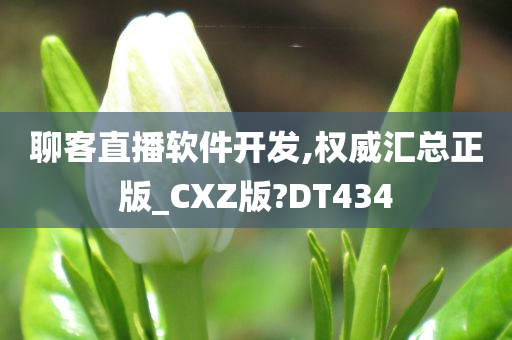 聊客直播软件开发,权威汇总正版_CXZ版?DT434