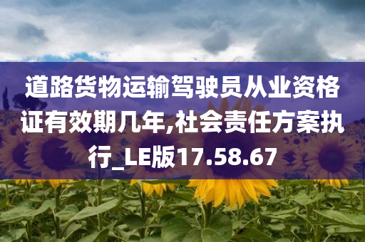 道路货物运输驾驶员从业资格证有效期几年,社会责任方案执行_LE版17.58.67