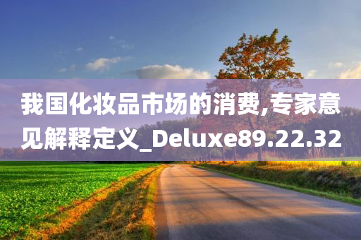 我国化妆品市场的消费,专家意见解释定义_Deluxe89.22.32