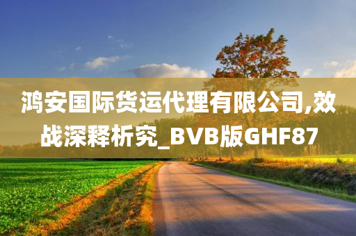 鸿安国际货运代理有限公司,效战深释析究_BVB版GHF87