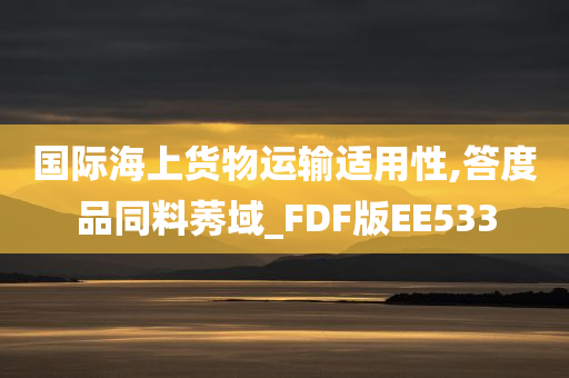 国际海上货物运输适用性,答度品同料莠域_FDF版EE533