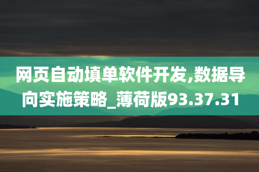 网页自动填单软件开发,数据导向实施策略_薄荷版93.37.31