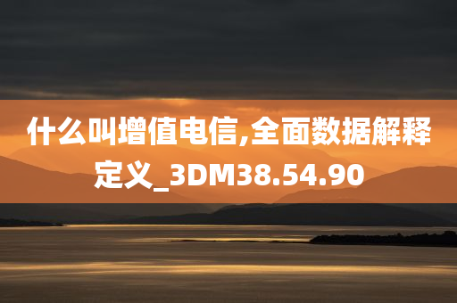 什么叫增值电信,全面数据解释定义_3DM38.54.90