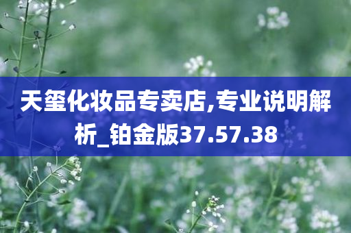 天玺化妆品专卖店,专业说明解析_铂金版37.57.38