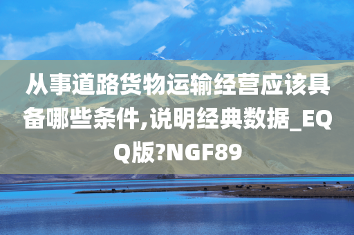 从事道路货物运输经营应该具备哪些条件,说明经典数据_EQQ版?NGF89