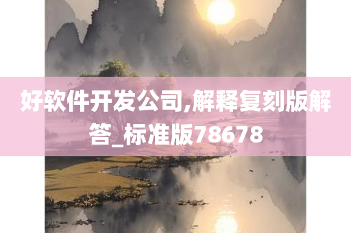 好软件开发公司,解释复刻版解答_标准版78678