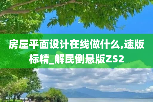 房屋平面设计在线做什么,速版标精_解民倒悬版ZS2