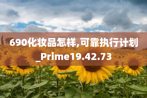 690化妆品怎样,可靠执行计划_Prime19.42.73