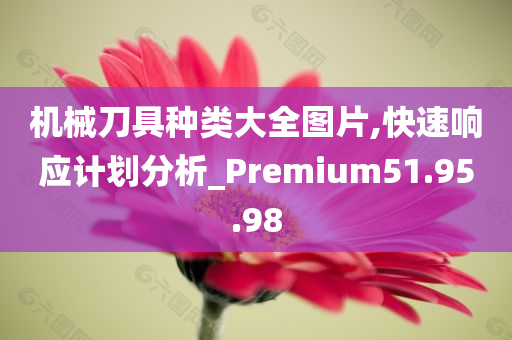 机械刀具种类大全图片,快速响应计划分析_Premium51.95.98