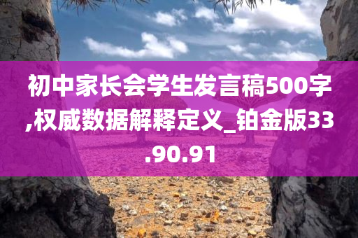 初中家长会学生发言稿500字,权威数据解释定义_铂金版33.90.91