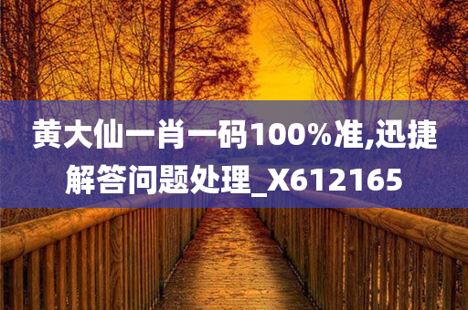 黄大仙一肖一码100%准,迅捷解答问题处理_X612165