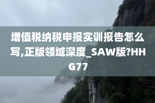 增值税纳税申报实训报告怎么写,正版领域深度_SAW版?HHG77