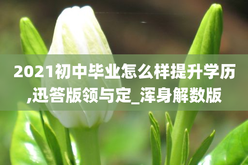 2021初中毕业怎么样提升学历,迅答版领与定_浑身解数版