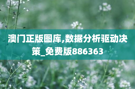 澳门正版图库,数据分析驱动决策_免费版886363