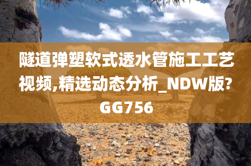 隧道弹塑软式透水管施工工艺视频,精选动态分析_NDW版?GG756