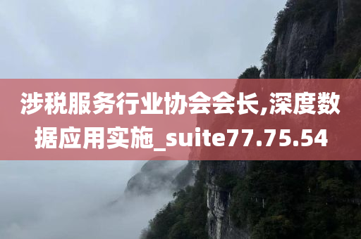 涉税服务行业协会会长,深度数据应用实施_suite77.75.54