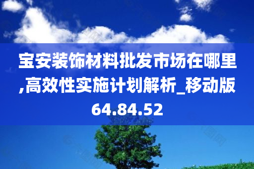 宝安装饰材料批发市场在哪里,高效性实施计划解析_移动版64.84.52