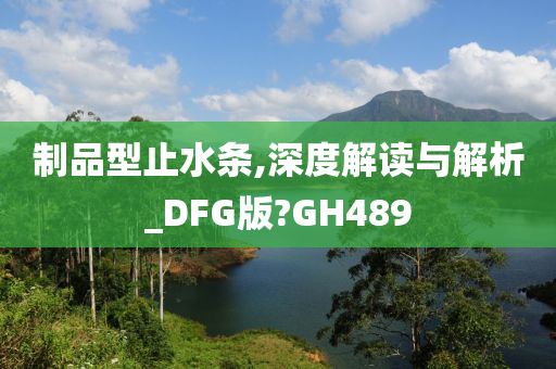 制品型止水条,深度解读与解析_DFG版?GH489