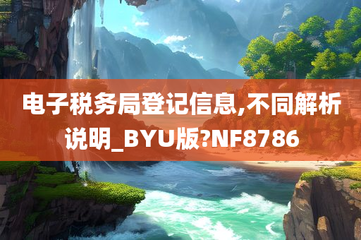 电子税务局登记信息,不同解析说明_BYU版?NF8786