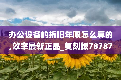 办公设备的折旧年限怎么算的,效率最新正品_复刻版78787