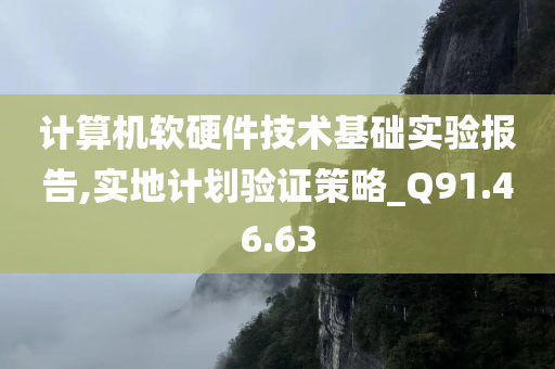 计算机软硬件技术基础实验报告,实地计划验证策略_Q91.46.63