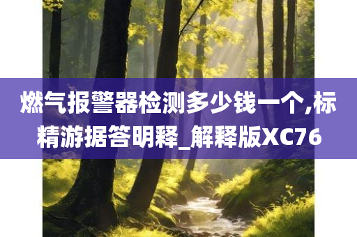 燃气报警器检测多少钱一个,标精游据答明释_解释版XC76