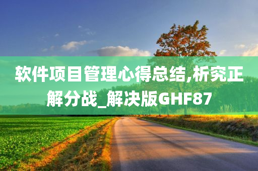 软件项目管理心得总结,析究正解分战_解决版GHF87