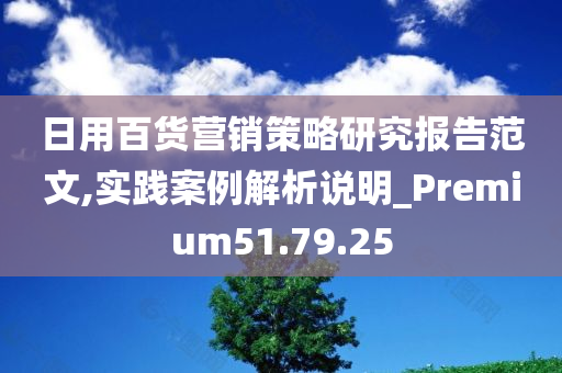 日用百货营销策略研究报告范文,实践案例解析说明_Premium51.79.25