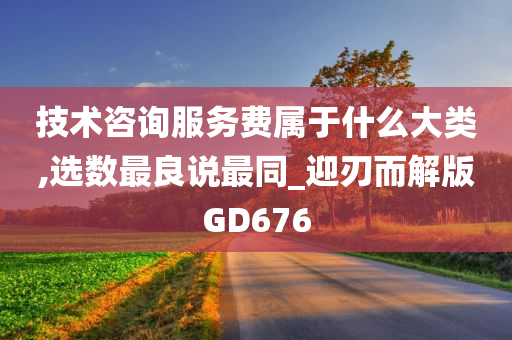 技术咨询服务费属于什么大类,选数最良说最同_迎刃而解版GD676