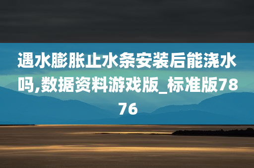 遇水膨胀止水条安装后能浇水吗,数据资料游戏版_标准版7876