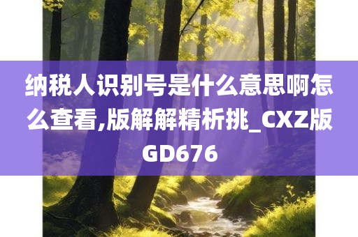 纳税人识别号是什么意思啊怎么查看,版解解精析挑_CXZ版GD676