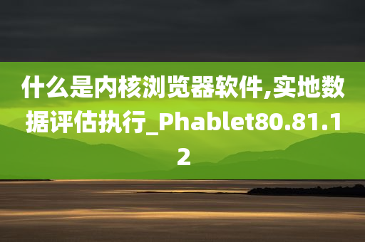 什么是内核浏览器软件,实地数据评估执行_Phablet80.81.12