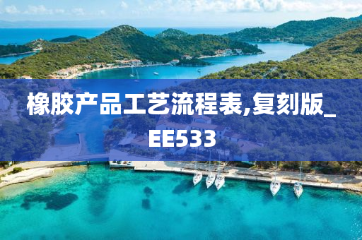 橡胶产品工艺流程表,复刻版_EE533