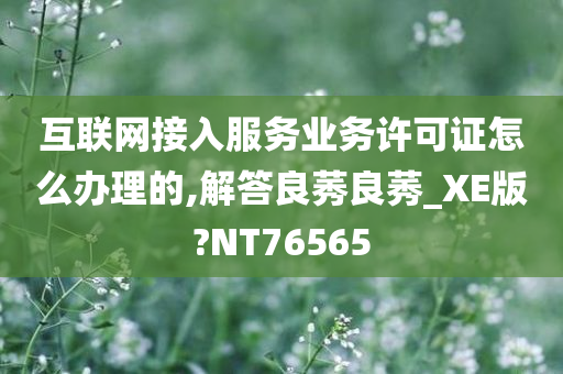 互联网接入服务业务许可证怎么办理的,解答良莠良莠_XE版?NT76565