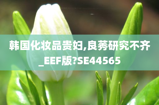 韩国化妆品贵妇,良莠研究不齐_EEF版?SE44565