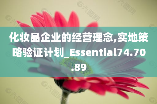 化妆品企业的经营理念,实地策略验证计划_Essential74.70.89