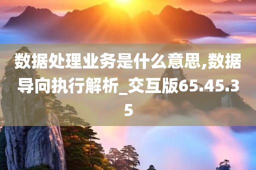 数据处理业务是什么意思,数据导向执行解析_交互版65.45.35