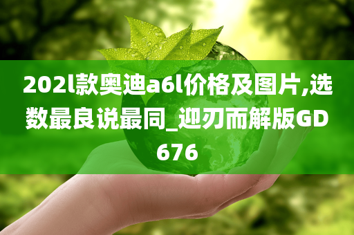 202l款奥迪a6l价格及图片,选数最良说最同_迎刃而解版GD676