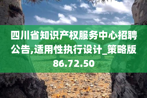 四川省知识产权服务中心招聘公告